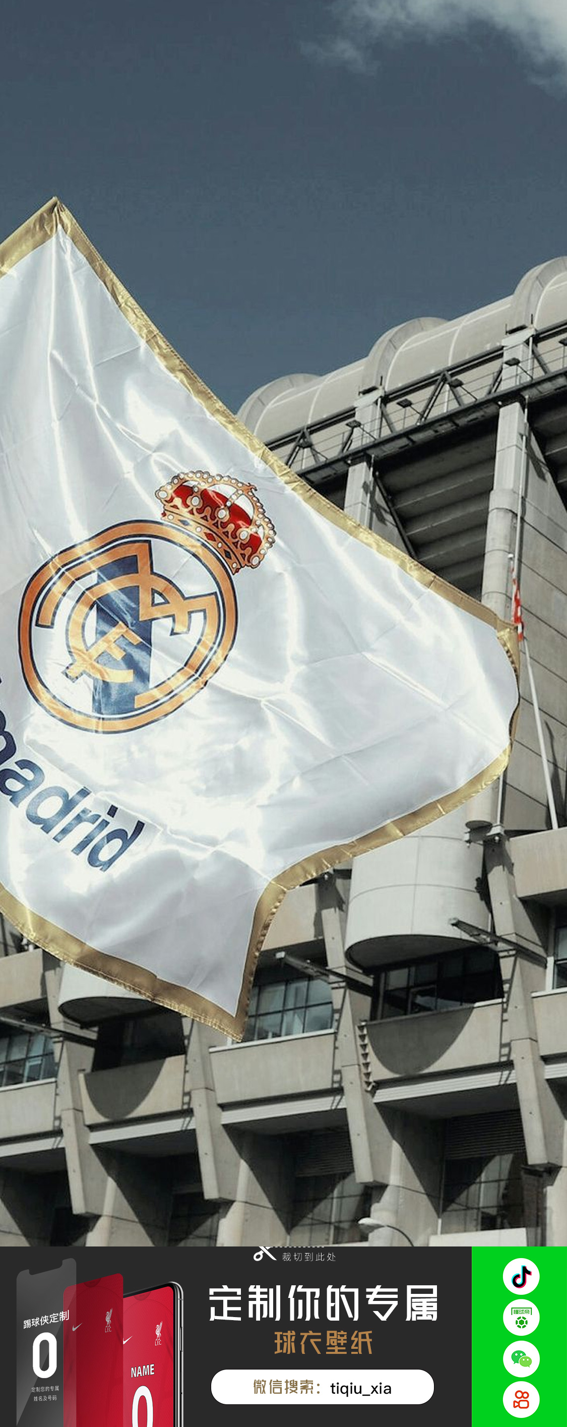 的投射能力 的投射能力