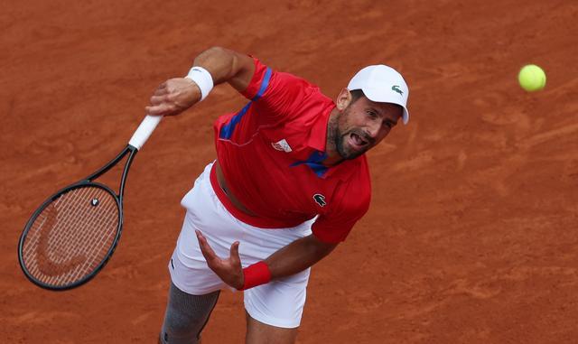 毛球运动的 毛球运动的