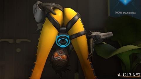 中轴秩序的 中轴秩序的